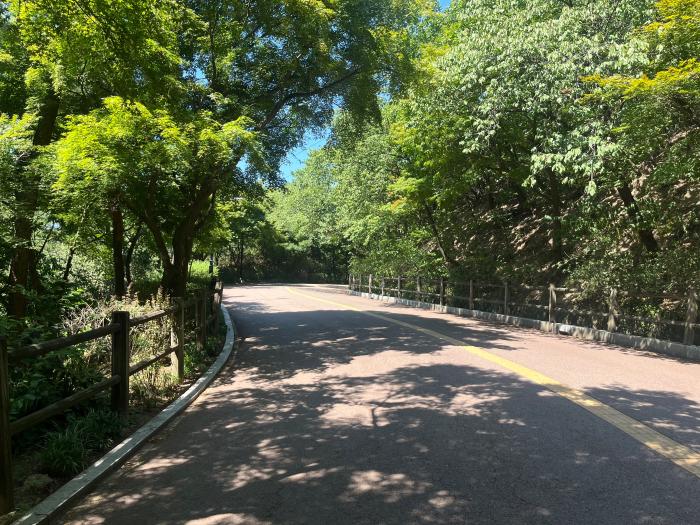 남산 북측순환로.