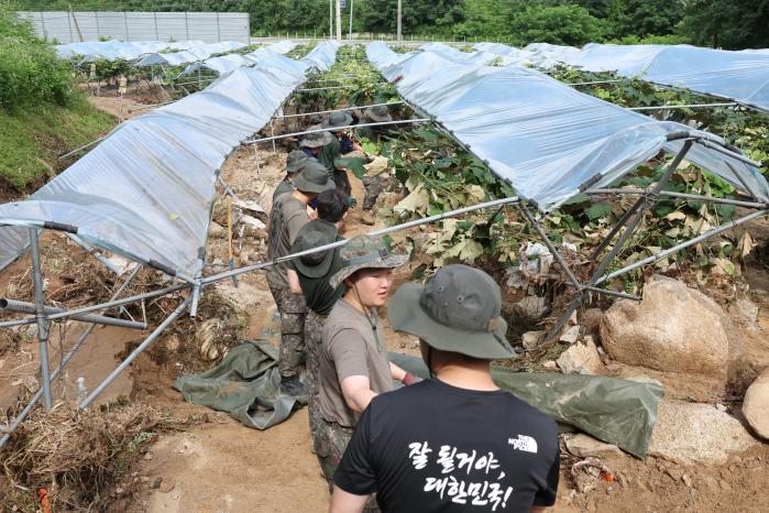 육군수도기계화보병사단 장병들이 22일 집중호우 피해를 입은 포도밭 정리를 돕고 있다.