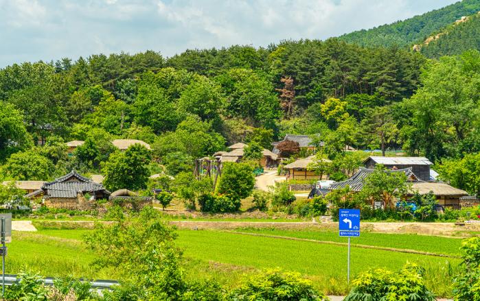 전통마을 보존지구로 지정된 왕곡마을.