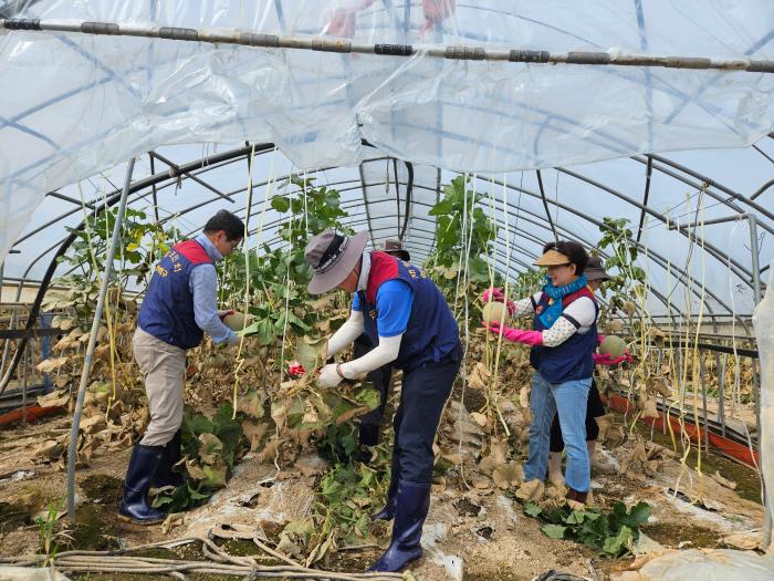 대전·충남재향군인회 회원들이 지난달 23일 충남 예산군 조곡리의 비 피해 현장에서 비닐하우스를 정비하고 있다. 향군 제공