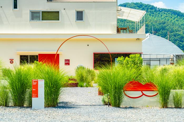 색색의 토마토를 즐길 수 있는 농장 체험 ‘그래도팜’. 사진=필자 제공