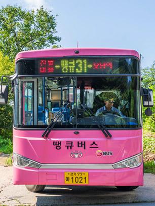 '땡큐 31번' 버스.
