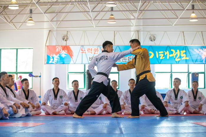 국방부가 군 내 태권도 활성화를 위한 다양한 노력을 펼치고 있다. 각종 대회와 행사에서 겨루기와 품새 시범을 하는 장병들.