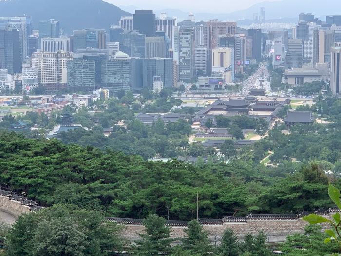 백악에서 본 청와대 담장과 경복궁. 필자 제공