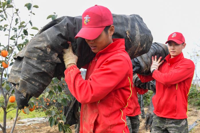 해병대1사단 장병들이 경북 포항시 한 농가에서 농촌 일손돕기 봉사를 하고 있다. 부대 제공