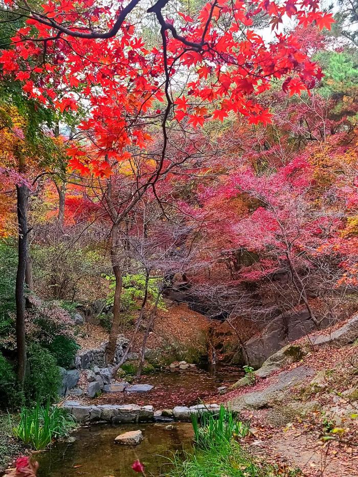 삼청공원 계곡.