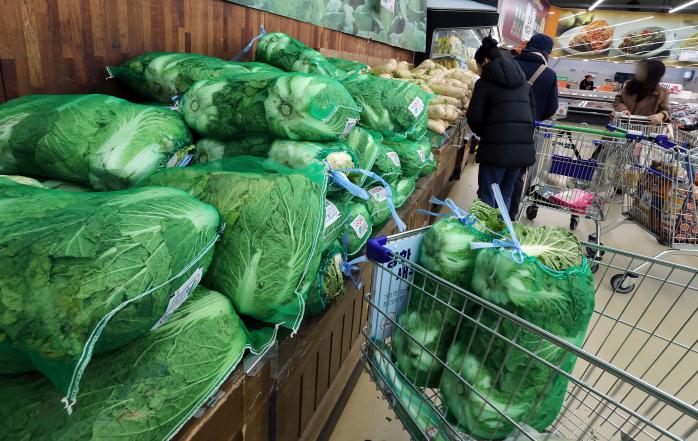 정부가 김장철을 앞두고 소비자 부담 완화를 위해 배추와 무 4만7500톤을 공급하고 500억 원 규모의 농수산물 할인 지원예산을 투입하는 ‘김장 재료 수급 안정대책’을 최근 발표했다. 서울의 한 대형마트에서 시민들이 배추와 무를 카트에 담고 있는 모습. 연합뉴스