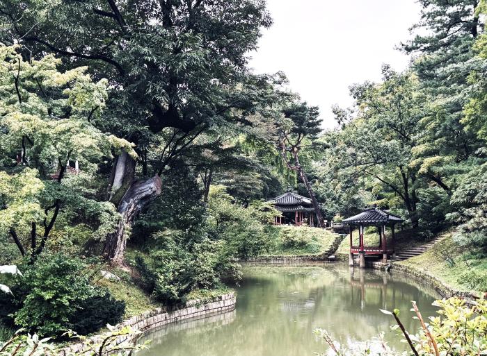 창덕궁 후원 애련지. 필자 제공