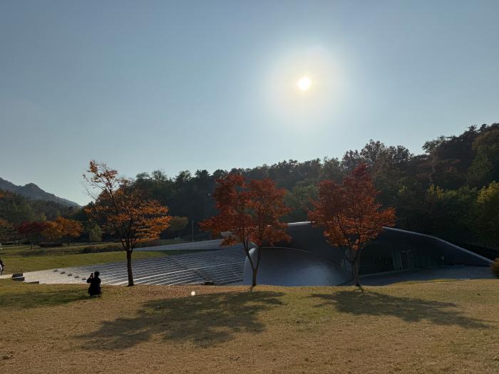 서울대 캠퍼스에 자리잡은 버들골 원형 공연장. 필자 제공