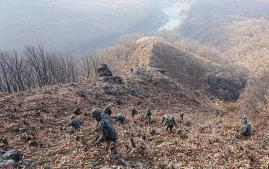 육군5포병여단 장병들이 포병훈련장에서 산불 확산 차단을 위해 방화지대 공사를 하고 있다. 부대 제공