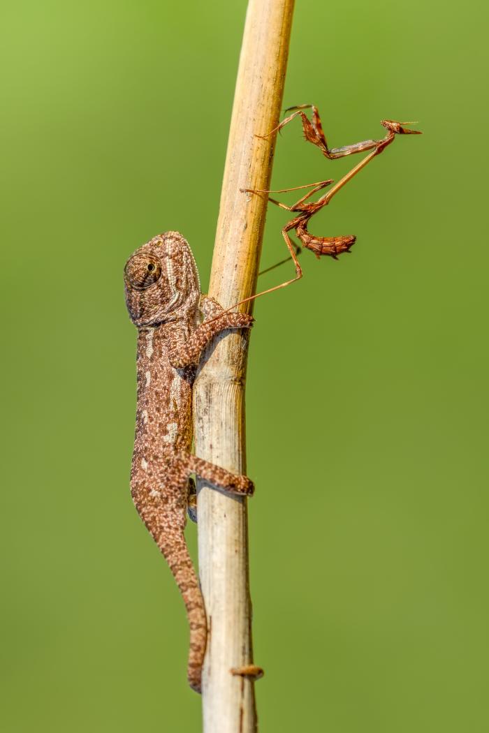 게티이미지뱅크