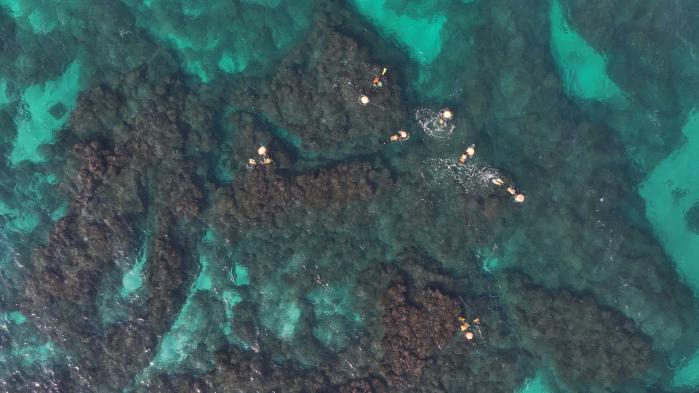 10일 제주시 한경면 판포리 앞바다에서 해녀들이 조업하고 있다. 기상청은 11일 새벽 중부와 호남, 제주에 비가 내리기 시작해서 오전이면 전국적으로 확대될 것으로 예보했다. 연합뉴스