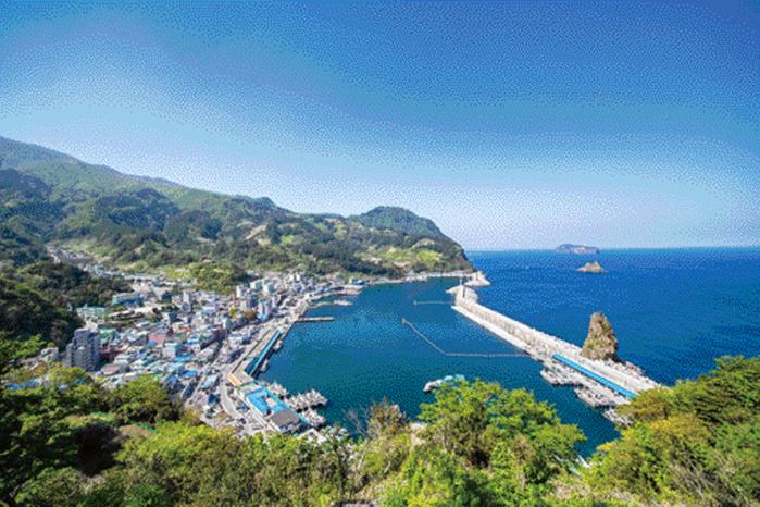 울릉도의 관문인 도동항 일대의 평화로운 모습.