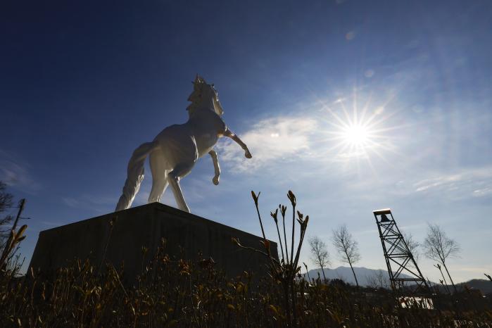 강원 철원군 백마고지 기념관 입구에 있는 백마상. 백마고지 전투 승리를 일군 국군9사단의 기상을 상징하는 조형물이다.