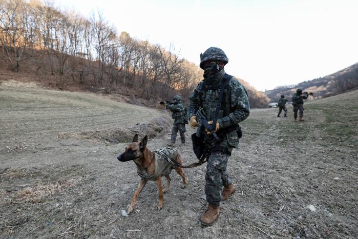 장병들이 군견을 앞세우고 작전지역으로 향하고 있다.