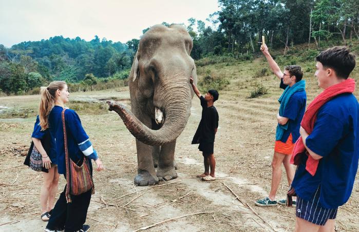 치앙마이의 대표 투어상품인 코끼리 보호소.