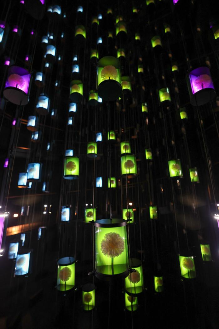 장사상륙작전 전승기념관에 마련된 국화 조명 ‘추모의 빛’.