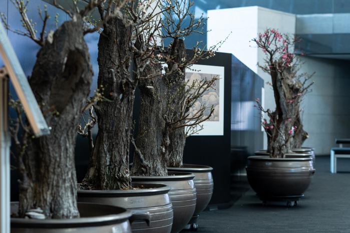 국립중앙박물관 ‘입춘매향’ 전시. 사진=국립중앙박물관