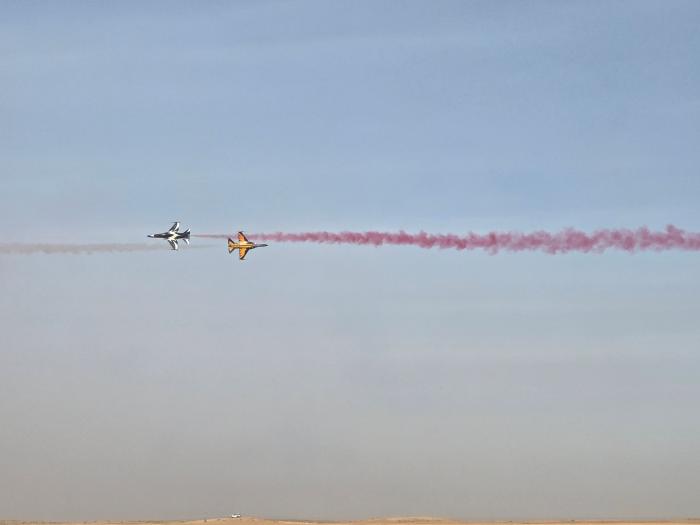 시저 패스 기동