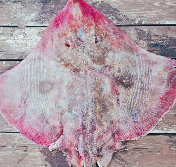 영산포를 상징하는 홍어.