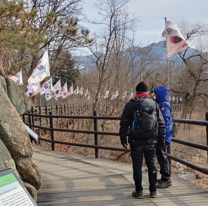 진관사 가는 길에 도열한 태극기.