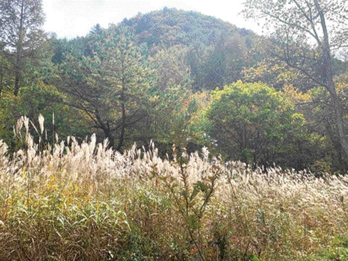 새이령 마장터.