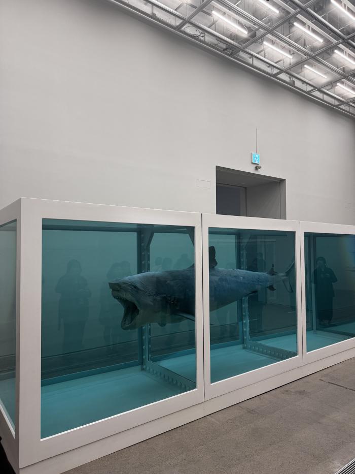 데이미언 허스트의 ‘살아 있는 자의 마음 속 죽음의 물리적 불가능성’. 노성수 기자