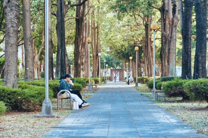 타이중은 과거의 기억을 미래 자산으로 바꾸며 대만에서 가장 살기 좋은 도시로 성장했다.
