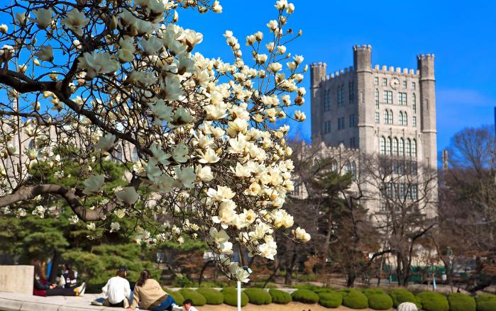 [첨단 강군 지원하는 군 친화 대학] AI수업으로 학습 편차 최소화...장학... - 뉴스 썸네일 이미지