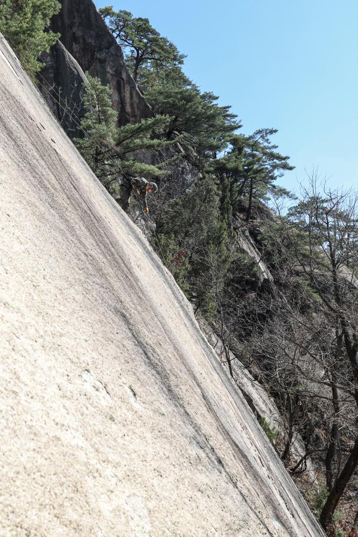 올해 첫 유격훈련에 나선 육군수도기계화보병사단 기갑수색대대 장병이 7일 맹호유격장 내 20m 높이 암벽에서 전면하강을 하고 있다.