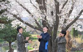 공군7항공통신전대 장병들이 봄맞이 벚꽃행사에서 즐거운 시간을 보내고 있다. 사진 제공=류예찬 중위