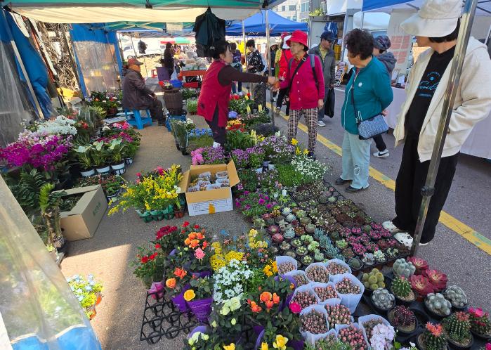 “봄이 왔드래요”…봉평오일장 ‘북적’ 봄이 한창인 12일 강원 평창군 봉평오일장에서 주민들이 각양각색의 꽃을 고르고 있다. 봉평오일장은 매월 날짜가 2와 7일인 5일마다 열리는 전통시장이다. 연합뉴스