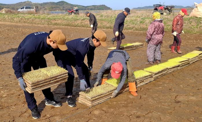 인천시 강화군 서도면 볼음도에서 대민지원에 나선 해군인천해역방어사령부 291해상전탐감시대 장병들이 모판을 옮기고 있다. 부대 제공