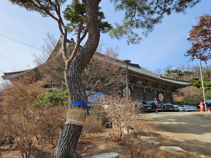 보우대사를 기리며 2000년에 건립된 봉은사 보우당.