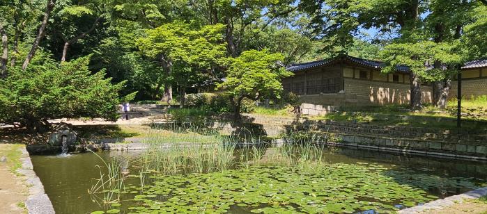 연경당 앞에 자리 잡은 애련지.