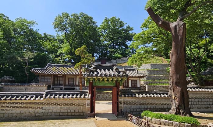창덕궁 후원 기오헌(왼쪽)과 운경거.