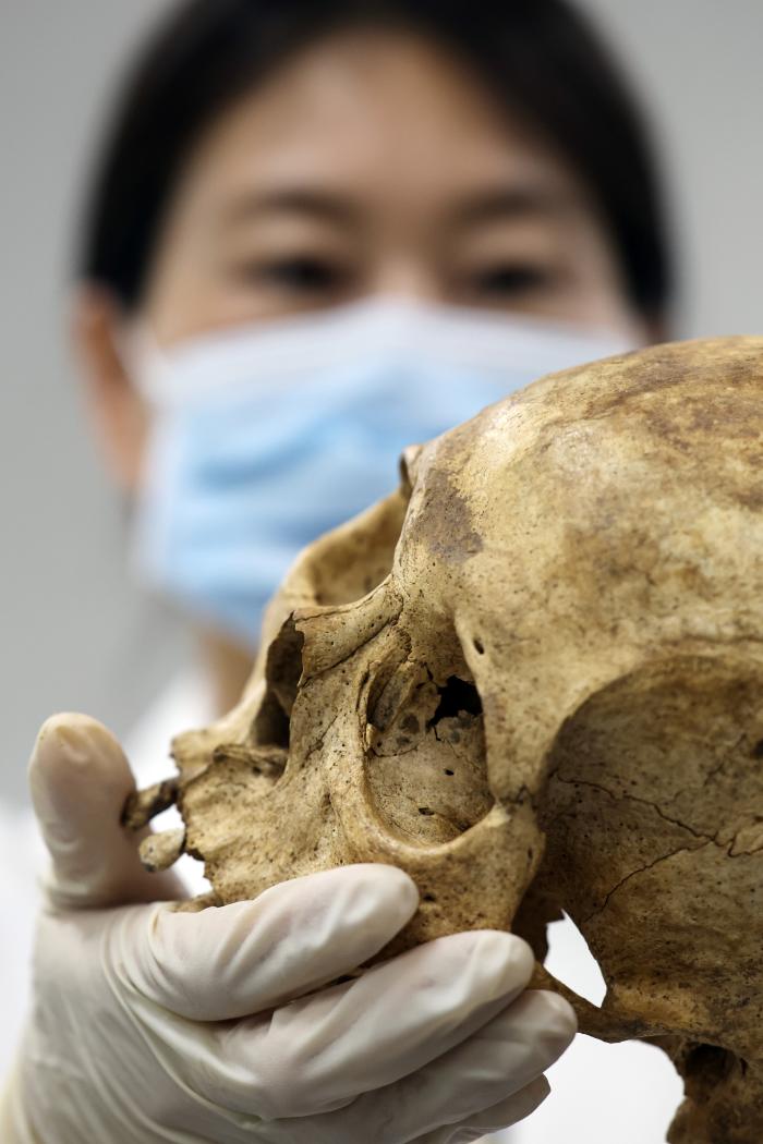 국방부유해발굴감식단 감식관이 지난달 27일 6·25전쟁 전사자의 유해를 정밀감식하고 있다.