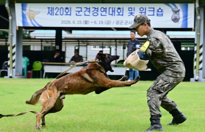 공군군사경찰단 주관으로 열린 제20회 군견경연대회에서 군견과 핸들러가 공격성 통제 과목을 평가받고 있다. 공군 제공