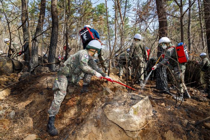 육군53보병사단 장병들이 지난해 울산 울주군에서 발생한 산불진화작전에서 잔불 정리를 하고 있다. 부대 제공
