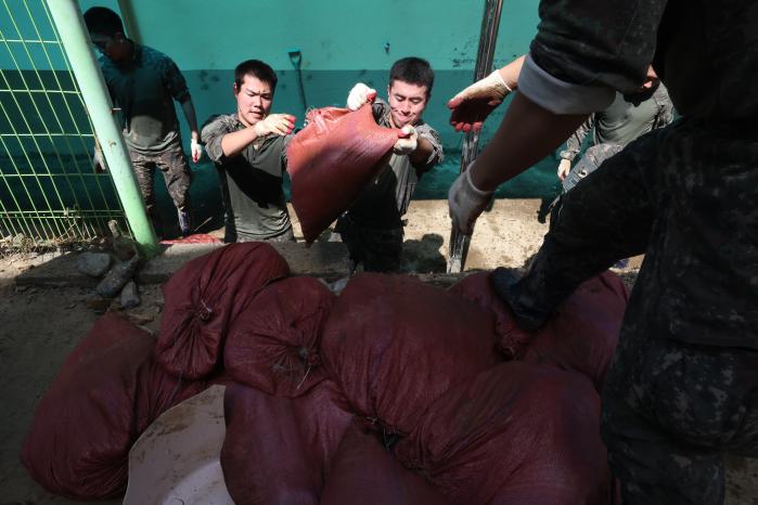 육군39보병사단 장병들이 19일 경남 거제시 장평초등학교에서 수해복구 대민지원을 하고 있다. 사단은 이날 장병 400여 명과 장비 20여 대를 투입해 지역주민의 일상 회복을 도왔다.